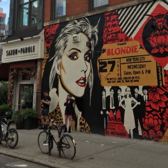 Meet your Posher, THE SPINNING MULE 🐃🚴🏻♂️ - Picture 3 of 8